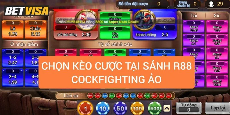 huong-dan-bat-keo-tai-r88-da-ga-ao-cockfighting