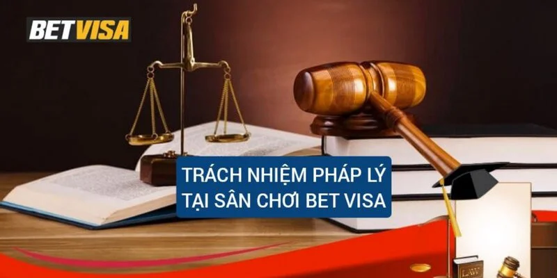 trach-nhiem-phap-ly-tai-san-choi-betvisa